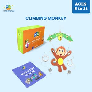 Climbing Monkey (Pack of 6)