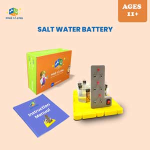Salt Water Battery (Pack of 5)